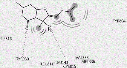 Sesquiterpenoid anti-ulcer drug, preparation method and application