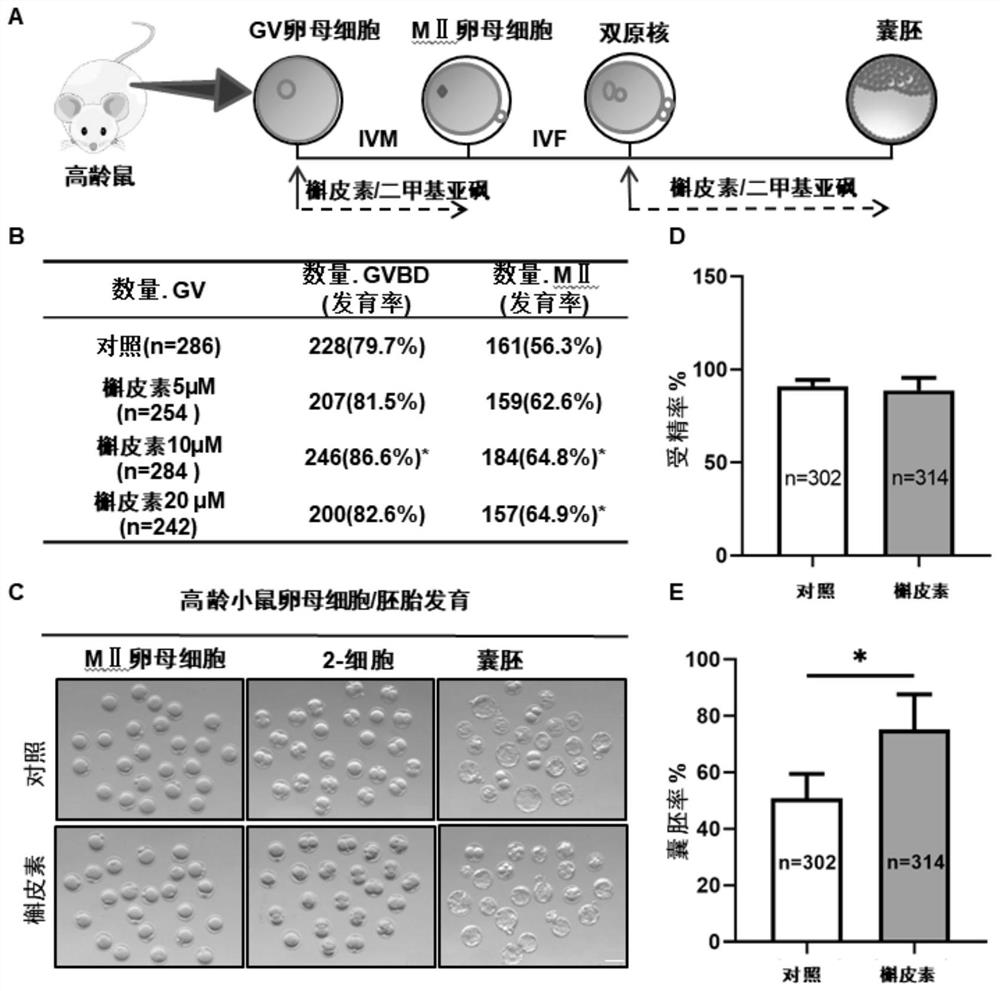 In-vitro culture method and culture medium for embryonic cells containing quercetin