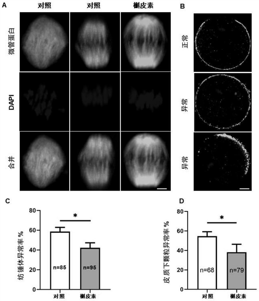 In-vitro culture method and culture medium for embryonic cells containing quercetin