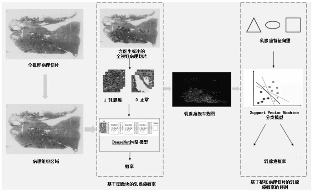 Method and system for detecting breast cancer area of pathological image based on DenseNet network