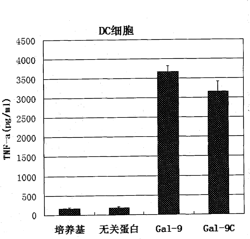Preparation and application of human galectin-9 deletant for enhancement of immune response