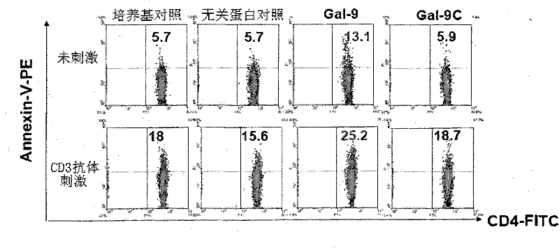 Preparation and application of human galectin-9 deletant for enhancement of immune response