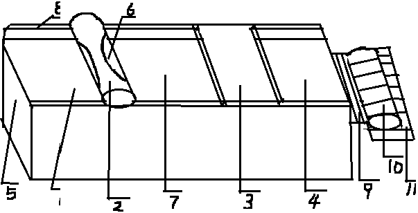 Paddy seedling growing machine