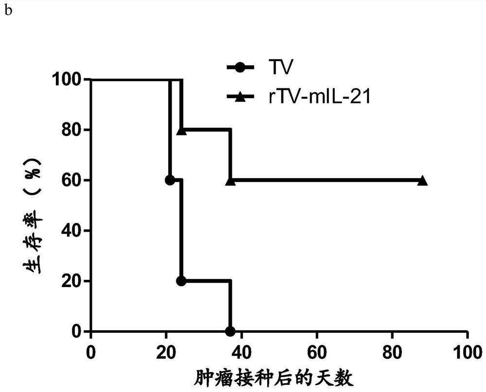 A novel oncolytic virus and its preparation method and application