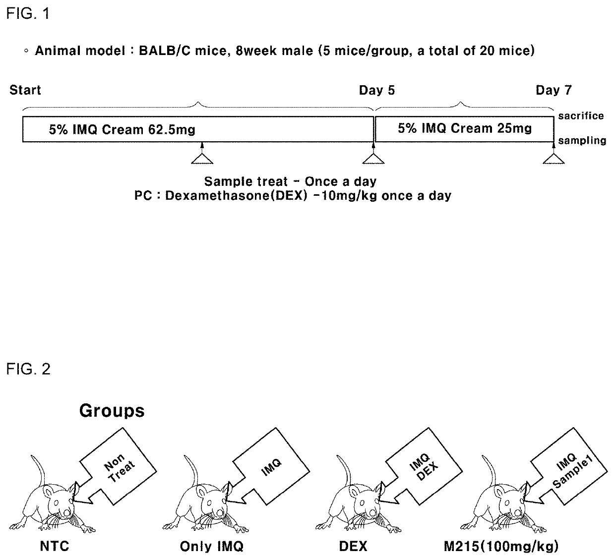 Composition for ameliorating psoriasis symptoms containing extract of sphallerocarpus gracilis