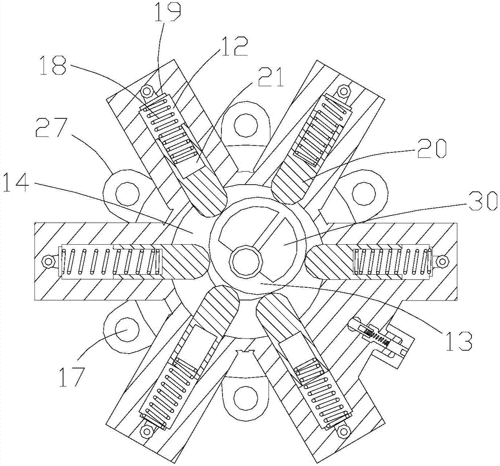 Star-shaped hydraulic pump