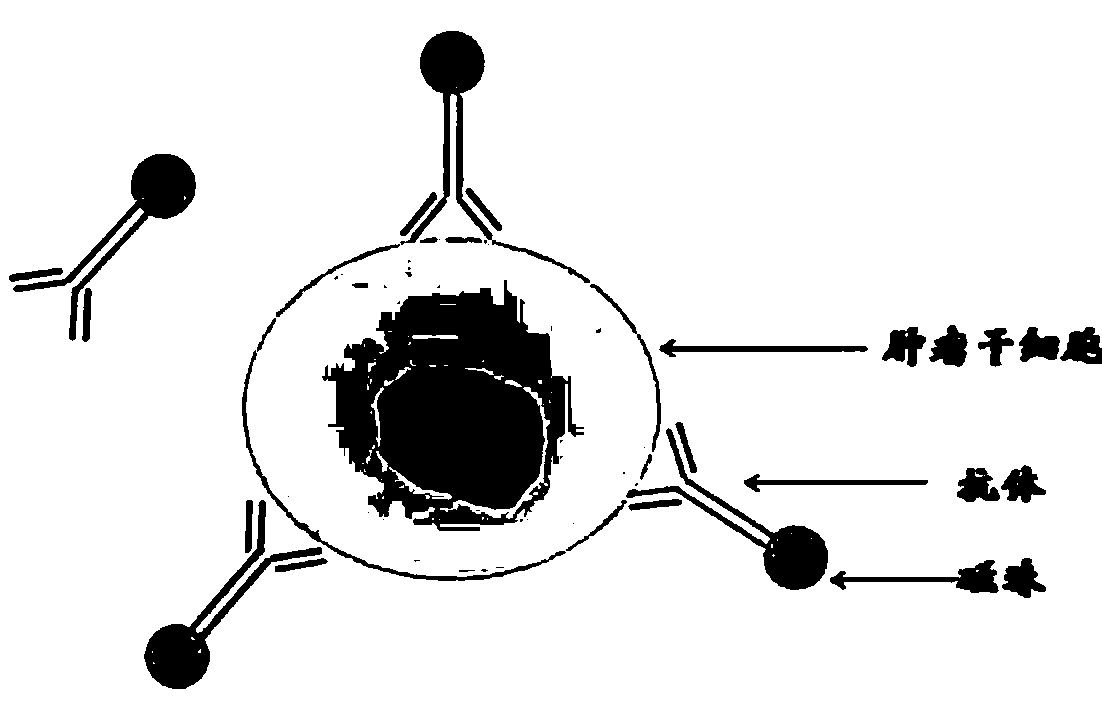 Kit for detecting free colorectal cancer cell markers in blood