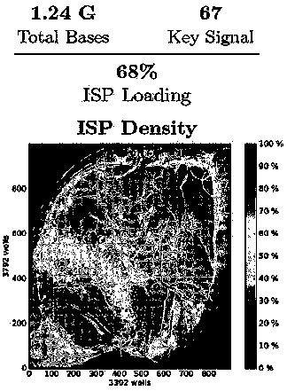 Congenital absence susceptibility gene detection method