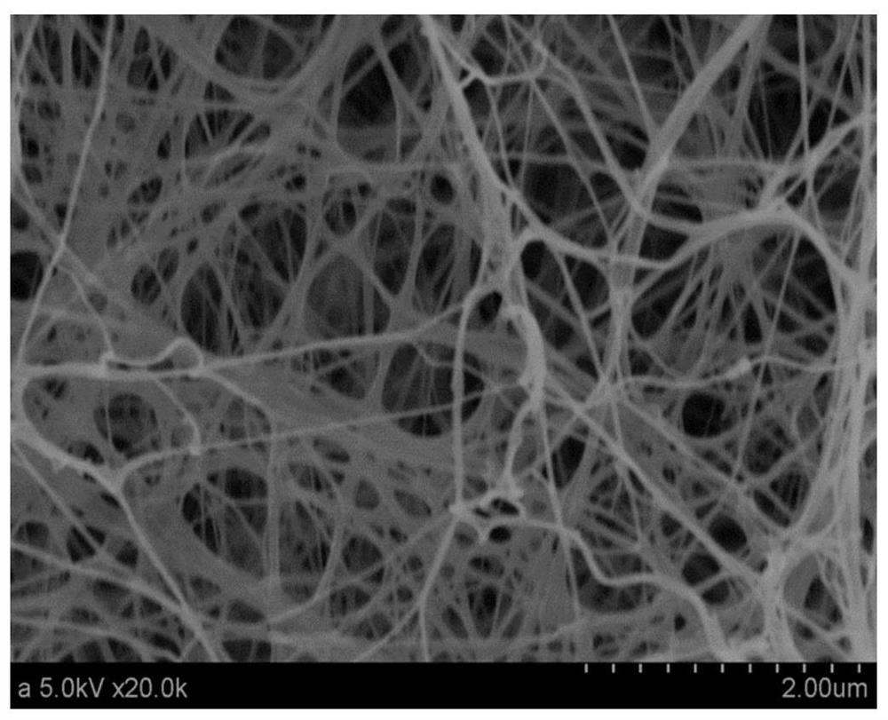 A kind of heparinized bacterial nanocellulose/chitosan composite tube and its preparation method and application