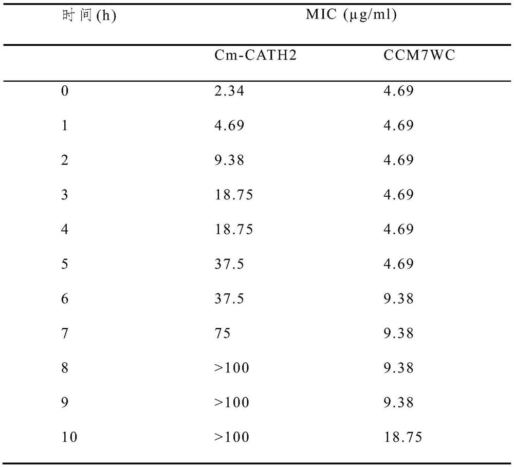 Antibacterial peptide CCM7WC as well as preparation method and application thereof
