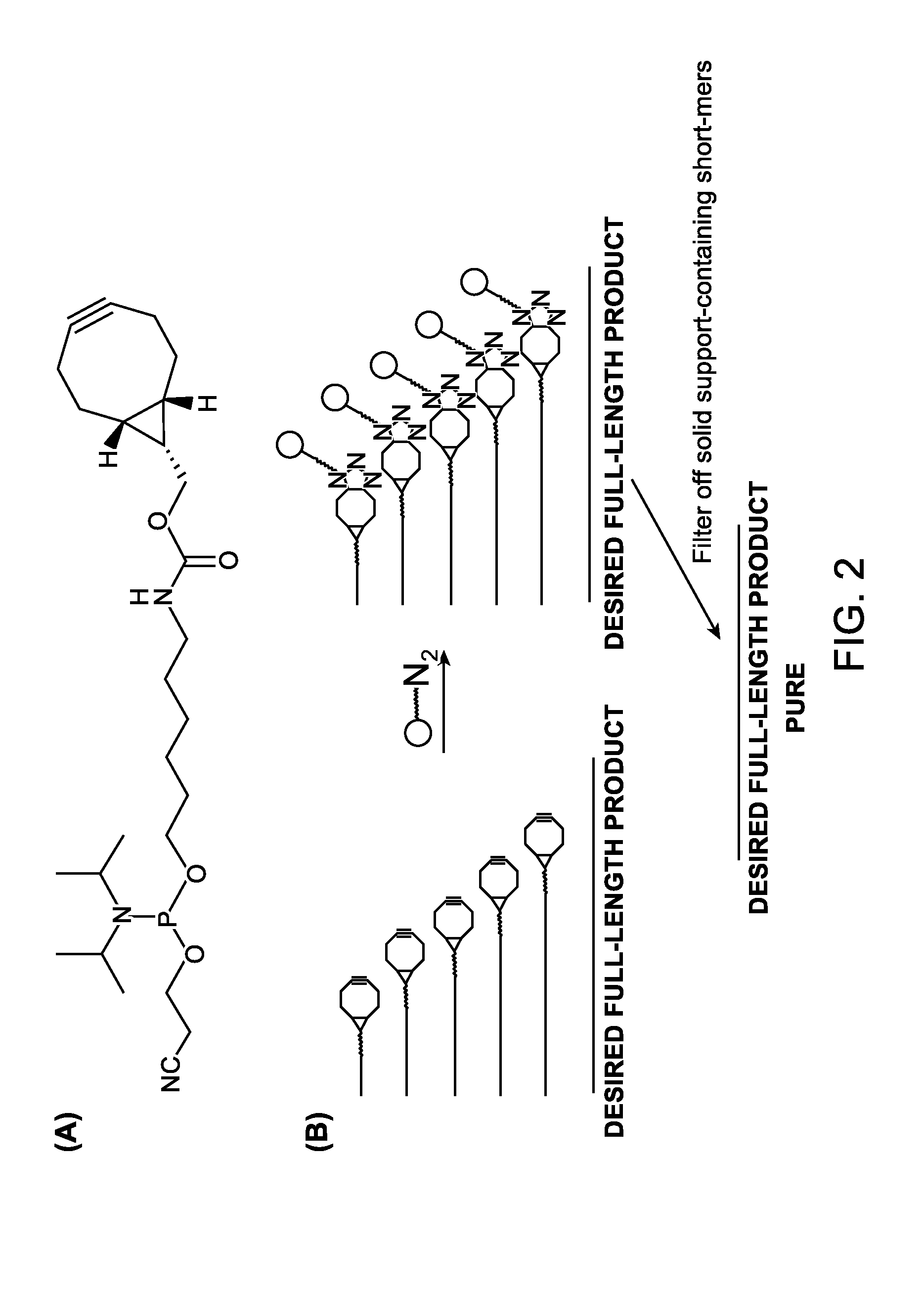 Methods for the synthesis and purification of oligomers