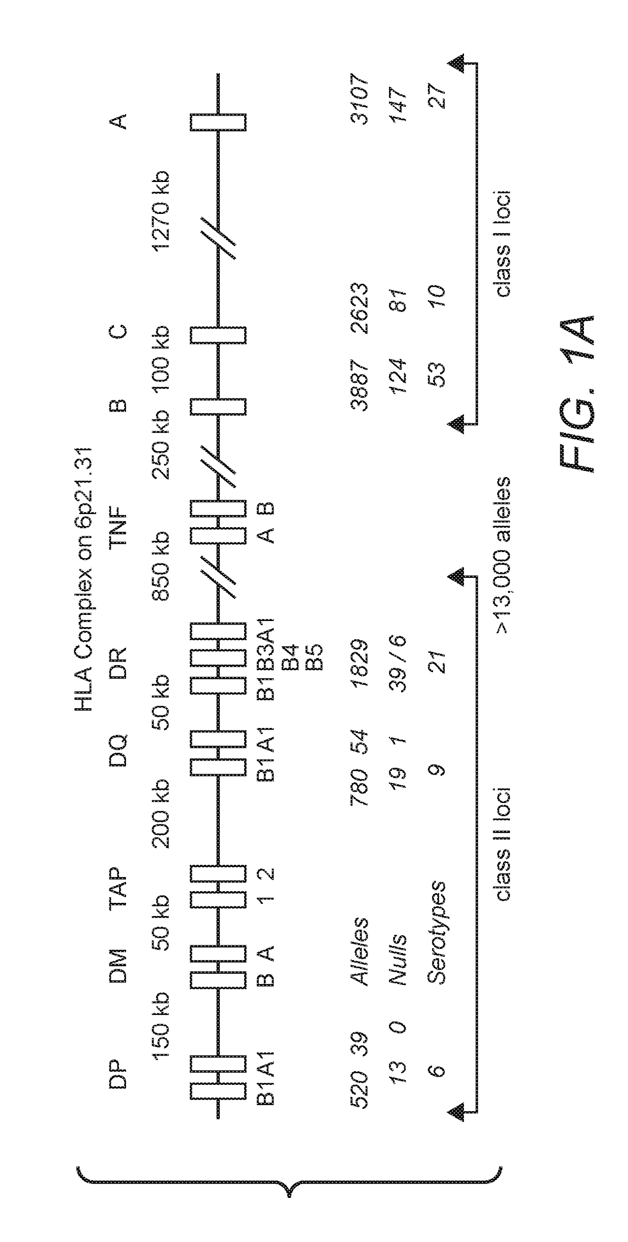 Improved Compositions And Methods For Viral Delivery Of Neoepitopes And Uses Thereof