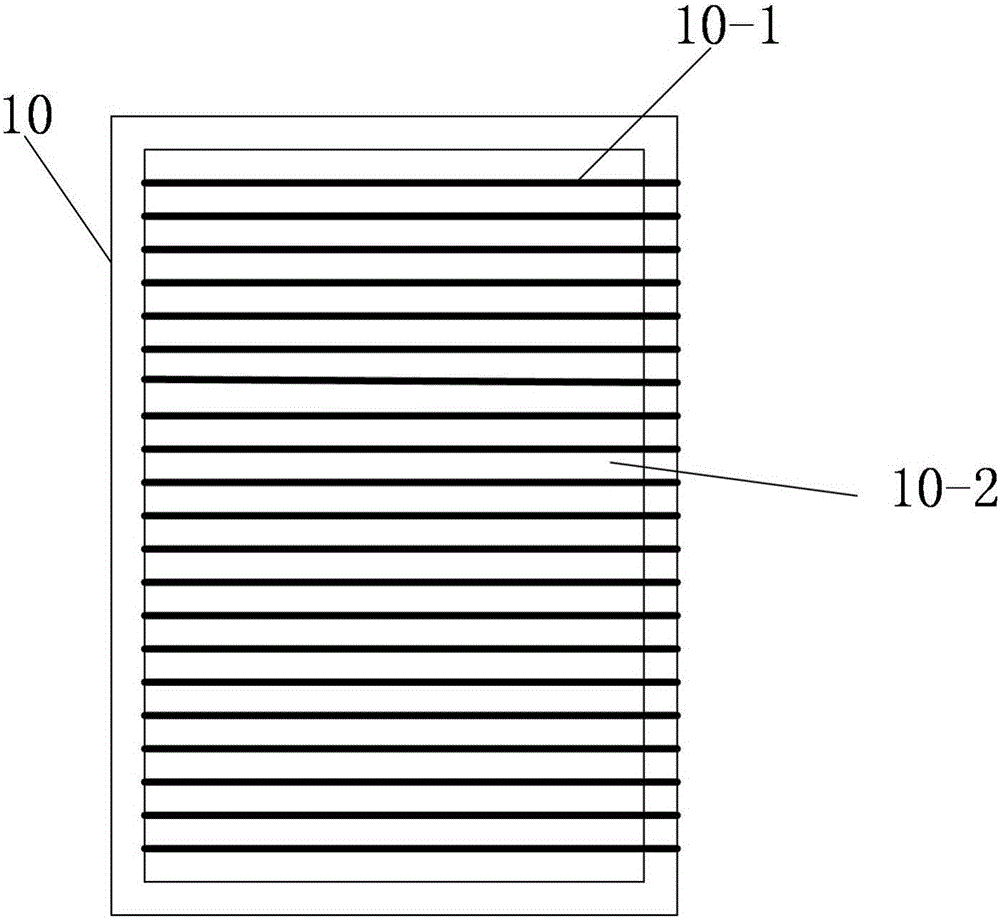 Human body moire imaging device