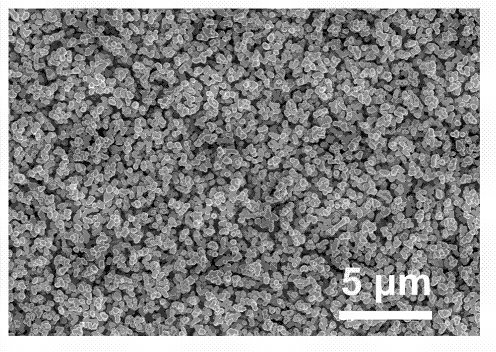 Biochip for enriching and detecting circulating tumor cells and preparation method thereof