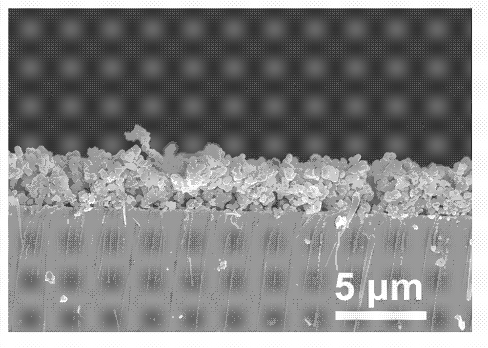 Biochip for enriching and detecting circulating tumor cells and preparation method thereof