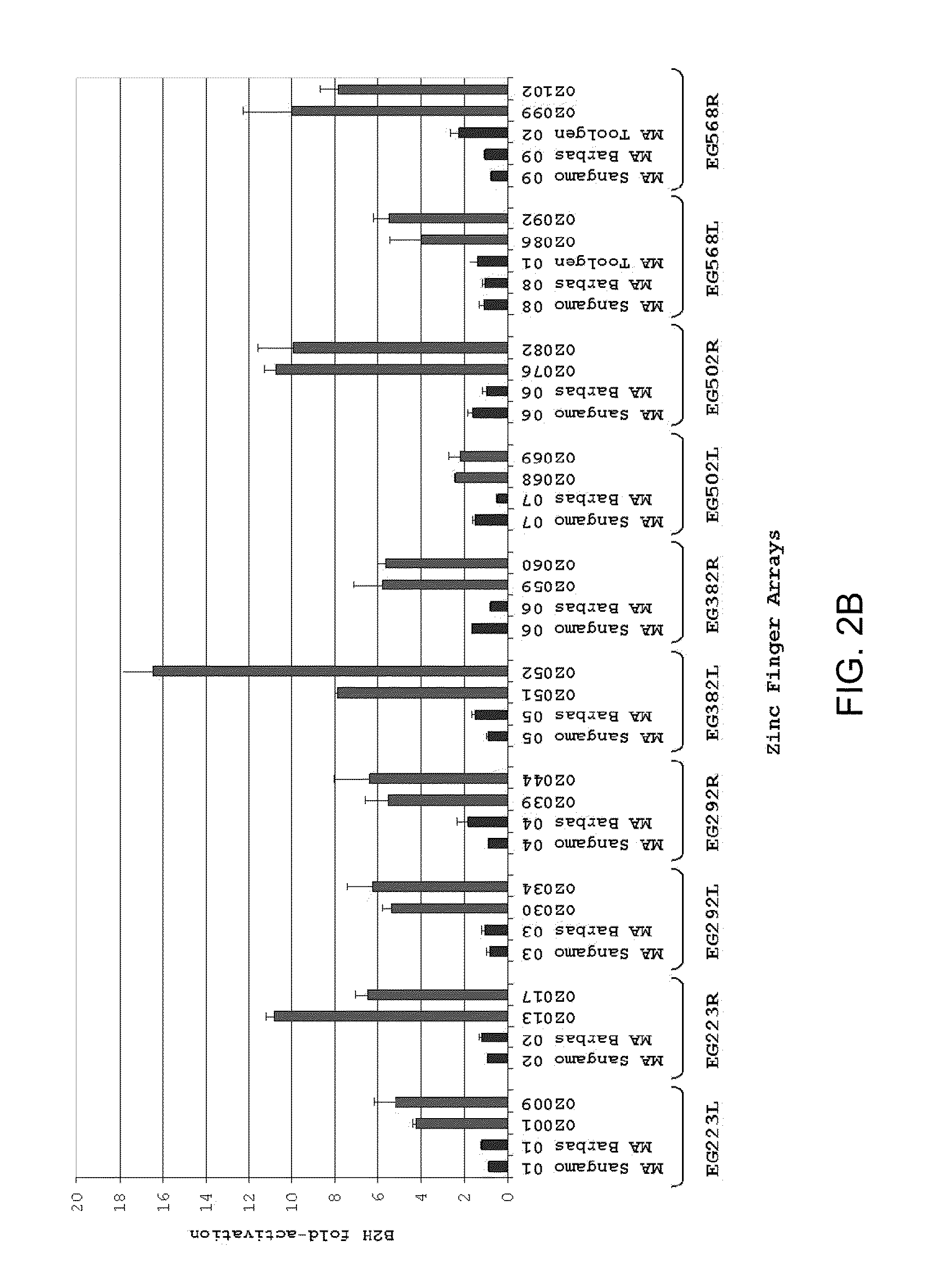 Zinc finger nuclease for the cftr gene and methods of use thereof