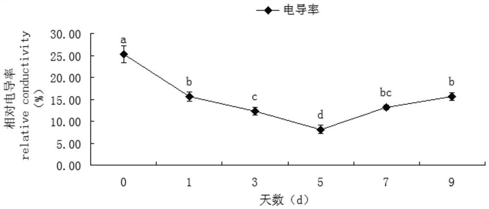 Method for improving cold resistance of red bract pineapples