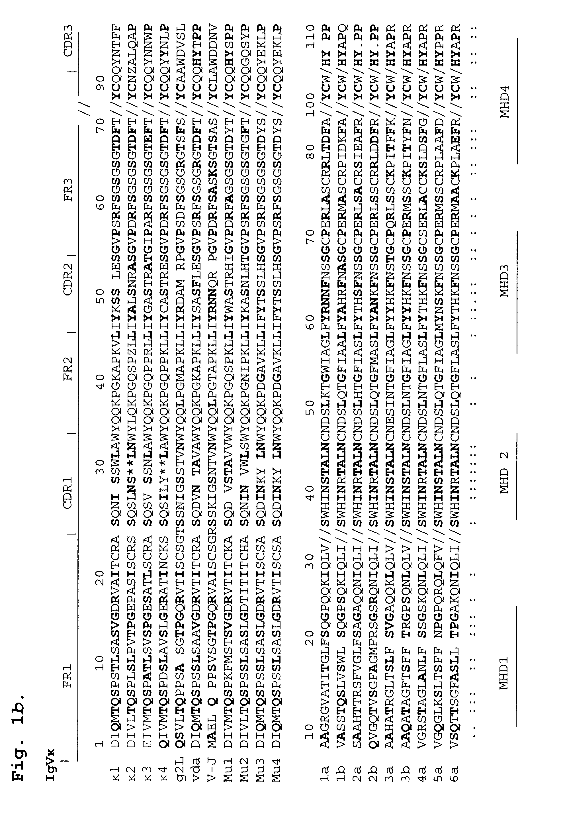 Detection, characterization and treatment of viral infection and methods thereof