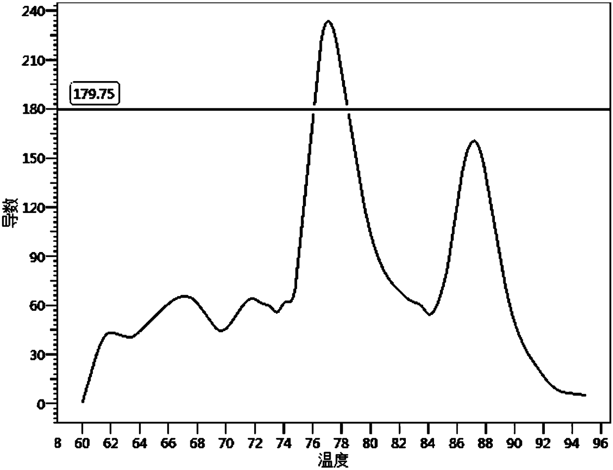 Human red blood cell ABO blood type genotyping primer set and application thereof