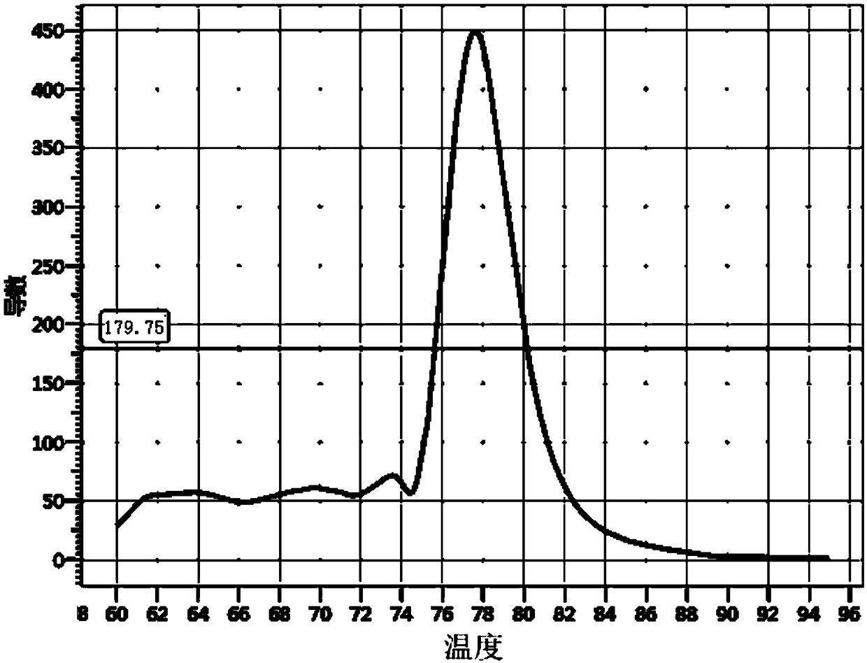 Human red blood cell ABO blood type genotyping primer set and application thereof