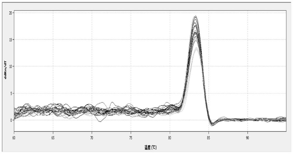 Passiflora internal reference gene and its screening method and application