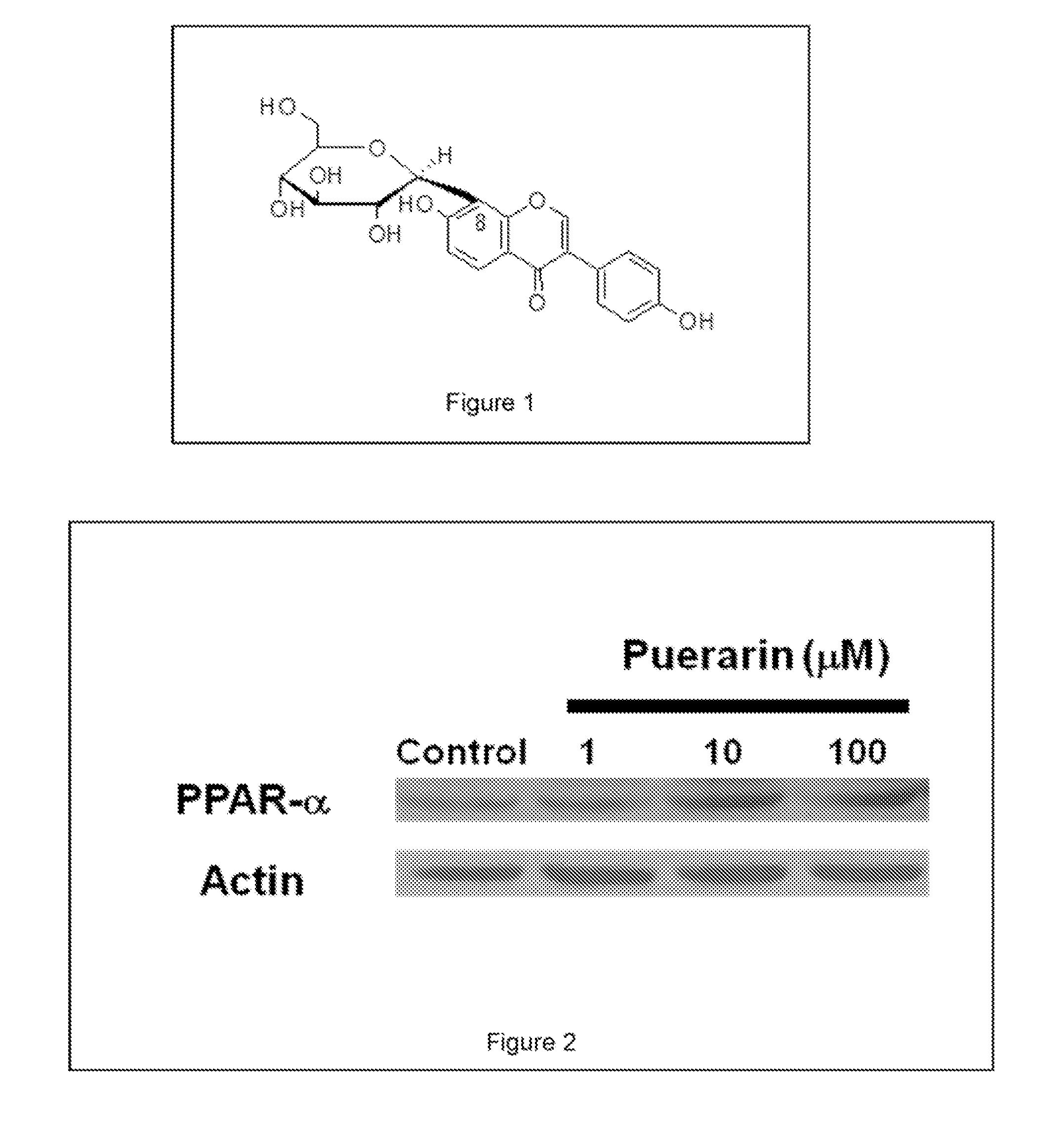 Isoflavone Glycosides as Peroxisome Proliferator-Activated Receptor-alpha Modulator