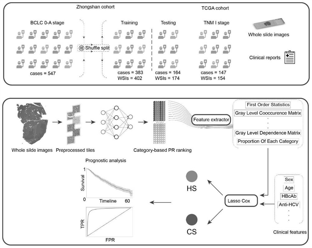 Analysis method and system for early hepatocellular carcinoma postoperative recurrence prognosis based on artificial intelligence (AI)