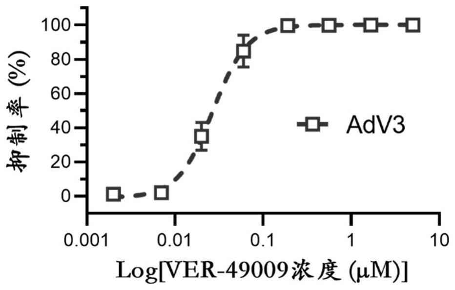Application of VER-49009 in preparation of medicine for preventing and/or treating adenovirus infection