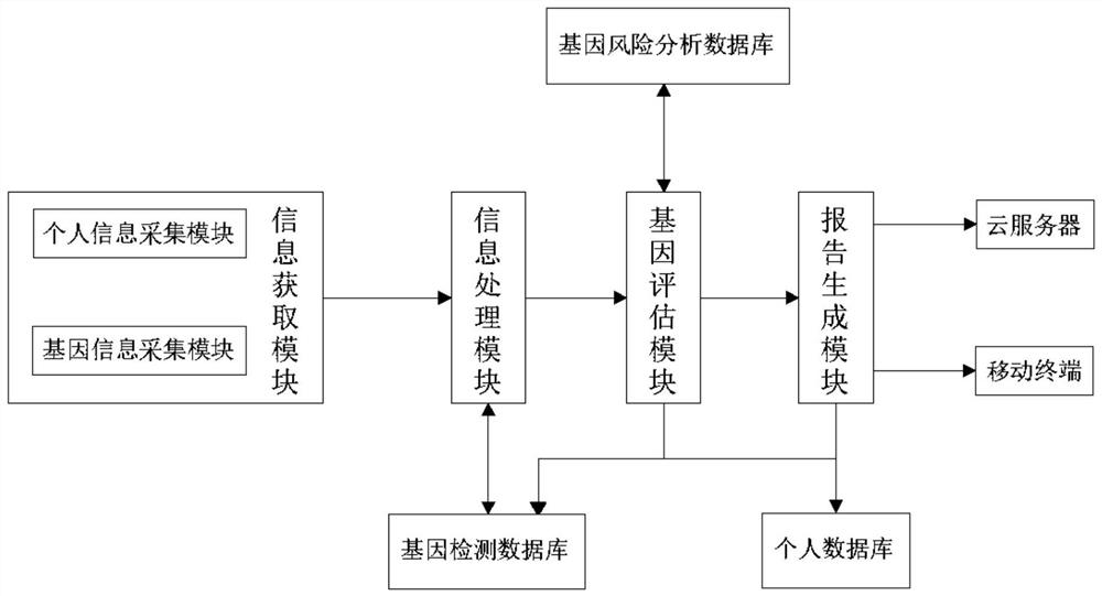 Obesity gene detection and evaluation system and data processing method