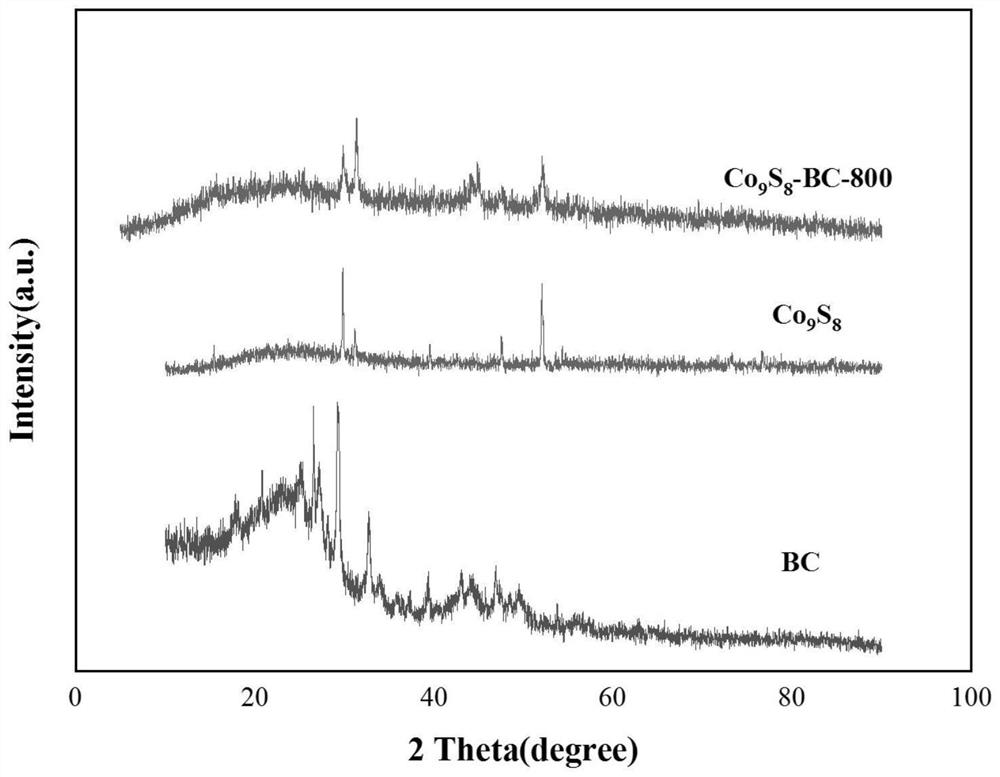 Cobalt sulfide loaded biochar catalyst, preparation method and application thereof
