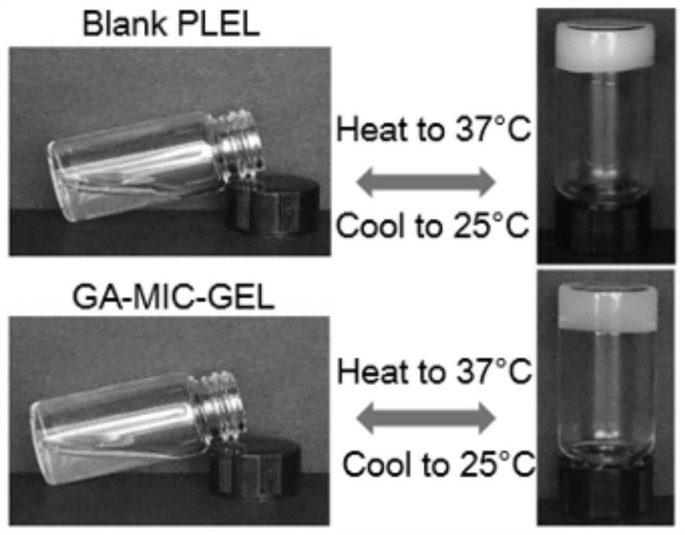 Preparation method and application of nano preparation hydrogel