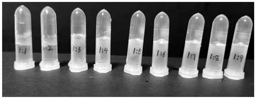 Preparation method and application of nano preparation hydrogel