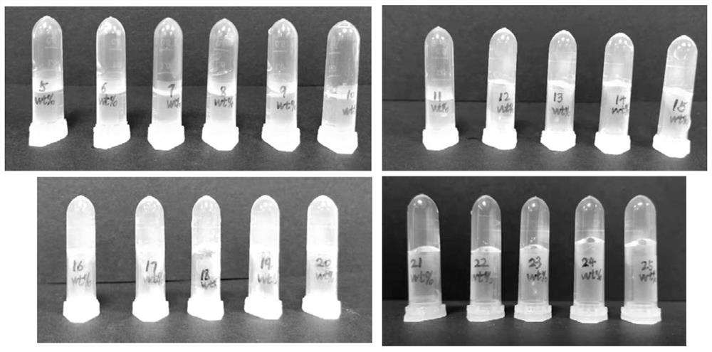 Preparation method and application of nano preparation hydrogel