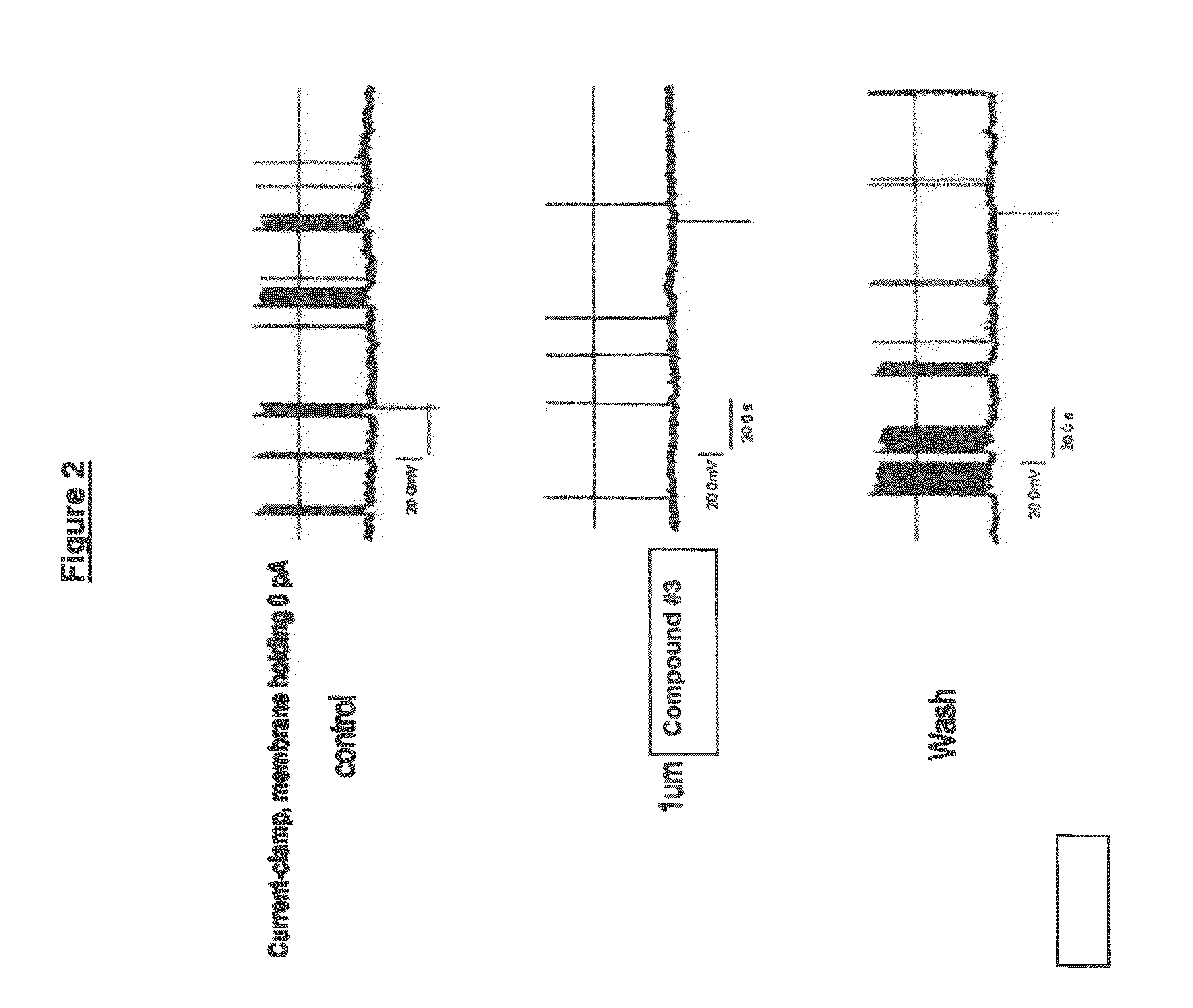 Benzimidazole derivatives as selective blockers of persistent sodium current