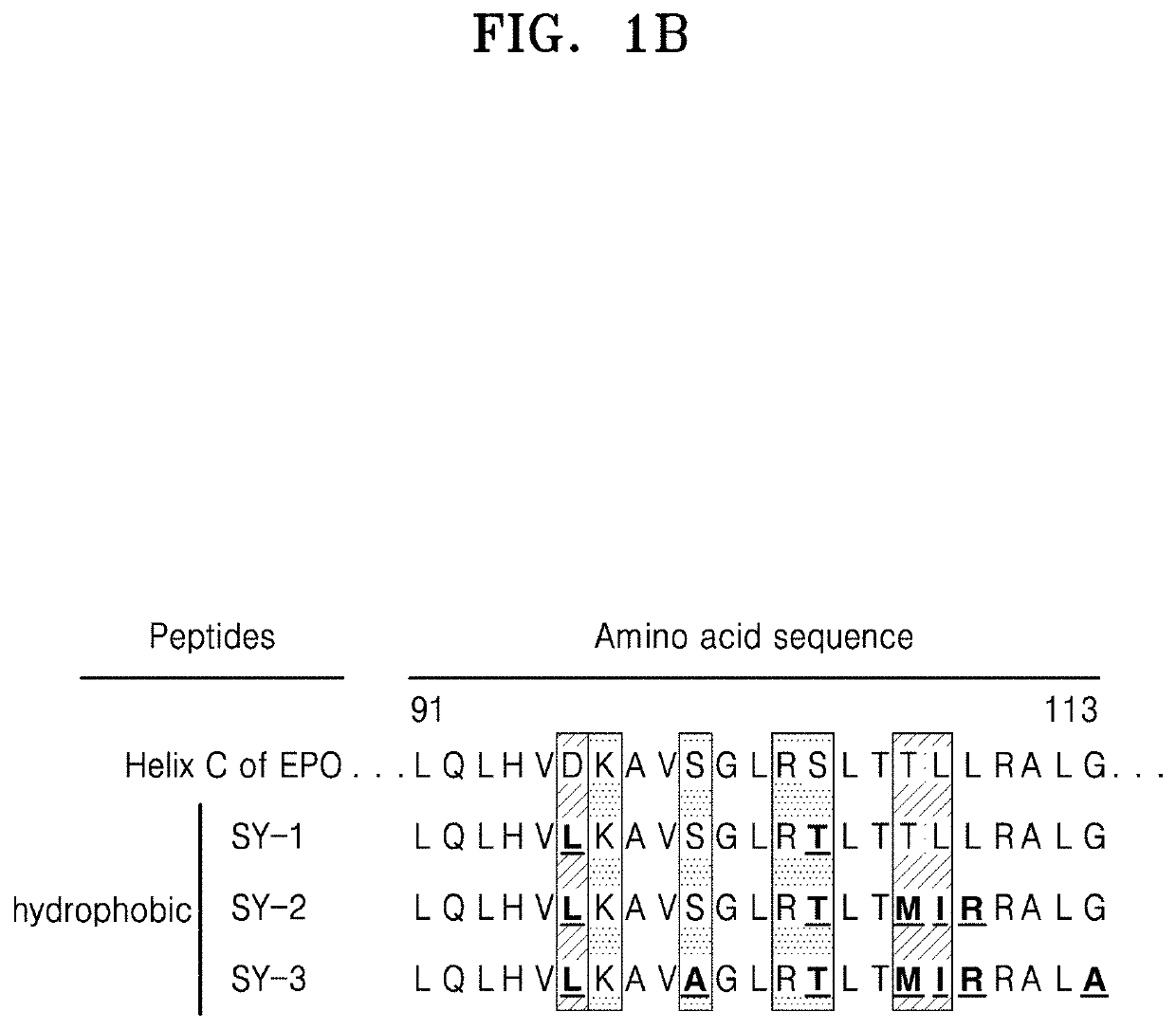 Peptide and use thereof for treatment of disease of brain and nervous system