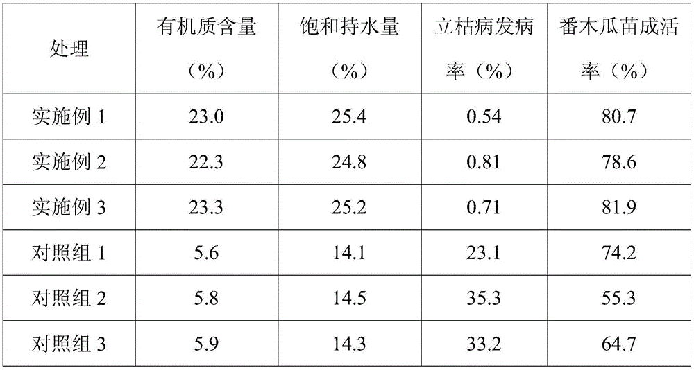 Papaya tissue culture seedling transplanting method