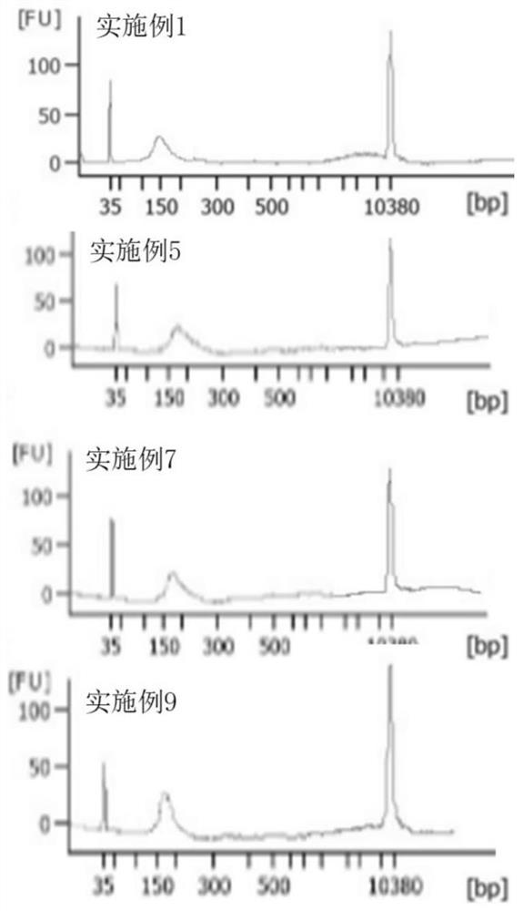 Plasma preservation solution, blood collection tube and application of plasma preservation solution and blood collection tube in ctDNA detection