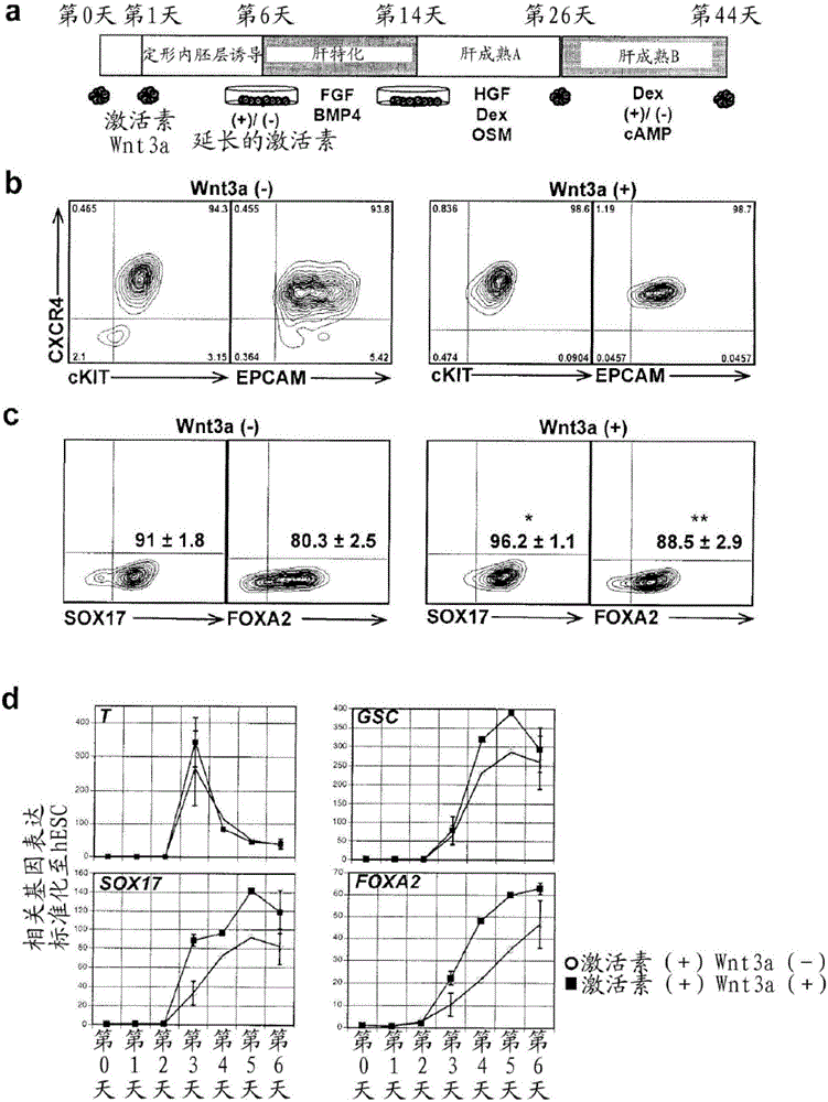 Methods for generating hepatocytes and cholangiocytes from pluripotent stem cells