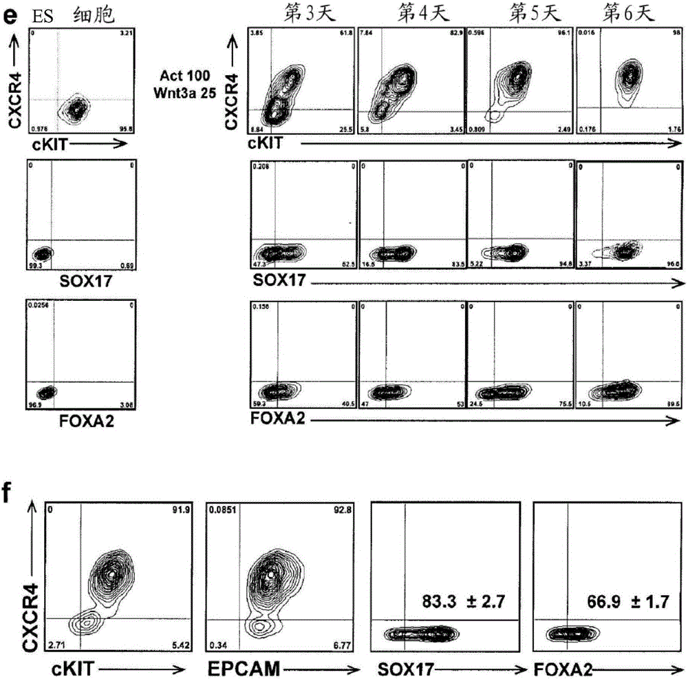Methods for generating hepatocytes and cholangiocytes from pluripotent stem cells