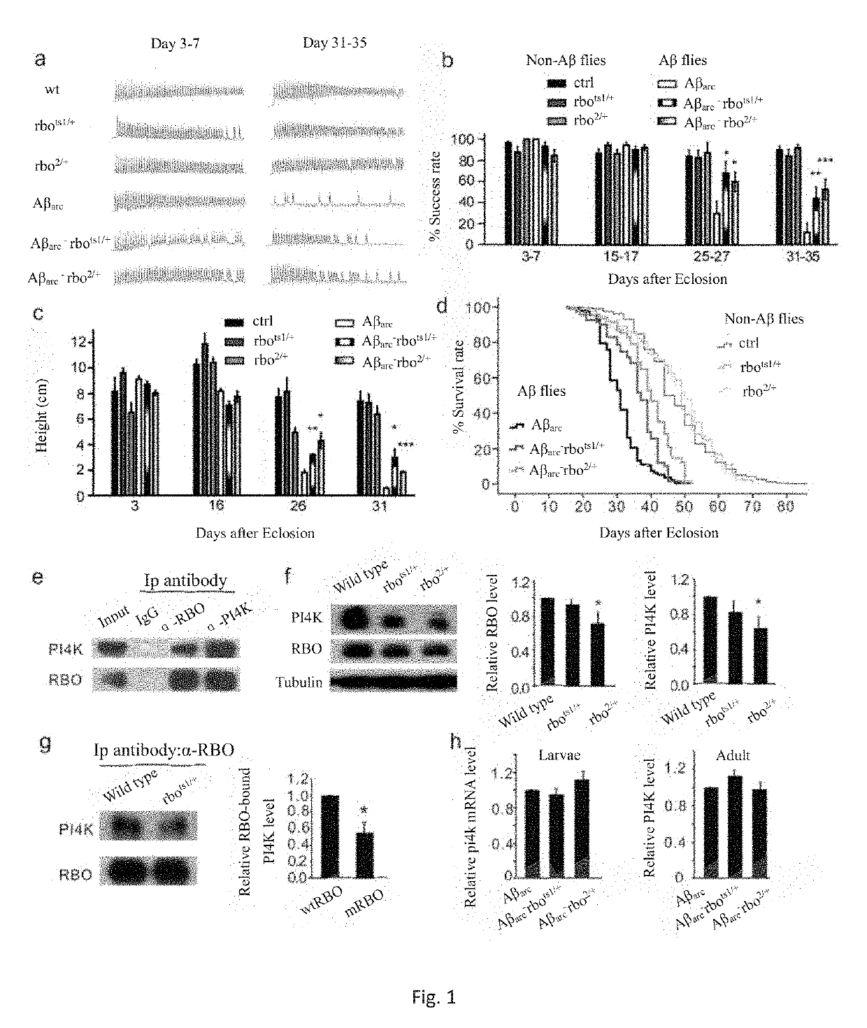 Application Of PI4KIIIA Protein And Related Membrane Protein Complex In Treating Alzheimer's Disease