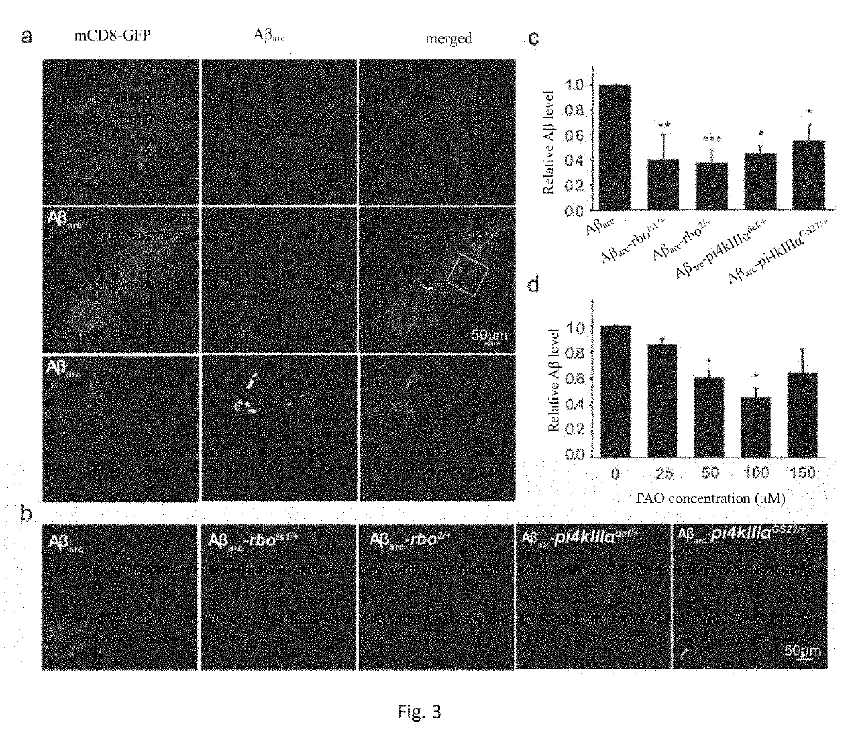 Application Of PI4KIIIA Protein And Related Membrane Protein Complex In Treating Alzheimer's Disease