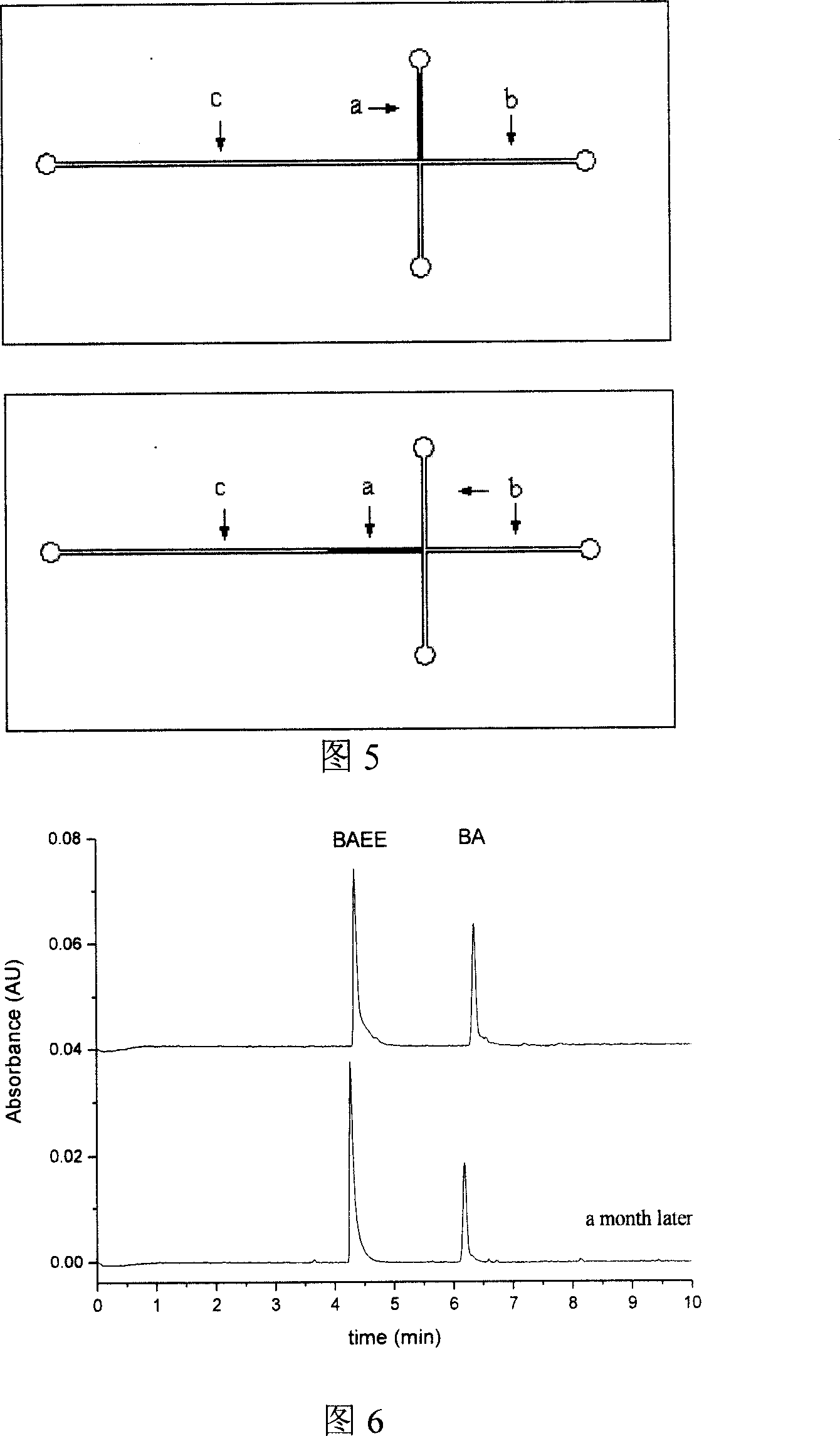 Fast protease microreactor and its production