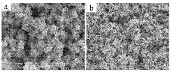 Surface enhanced raman spectrum printing test paper for field test and preparation method thereof
