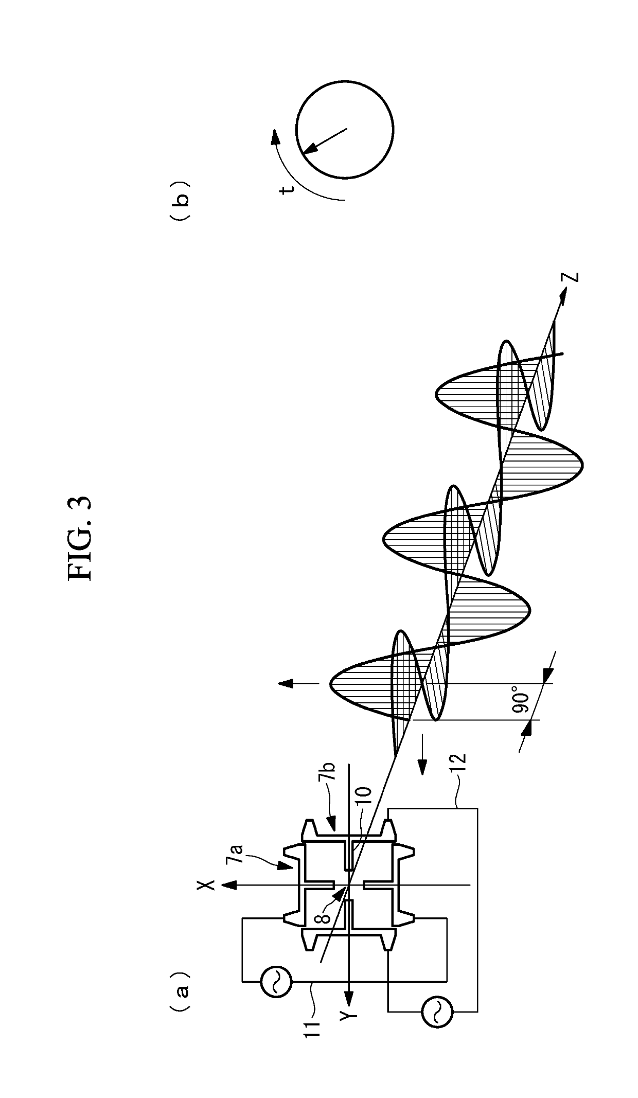 Method for observing dynamic physical property of biological tissue and device for observing dynamic physical property of biological tissue