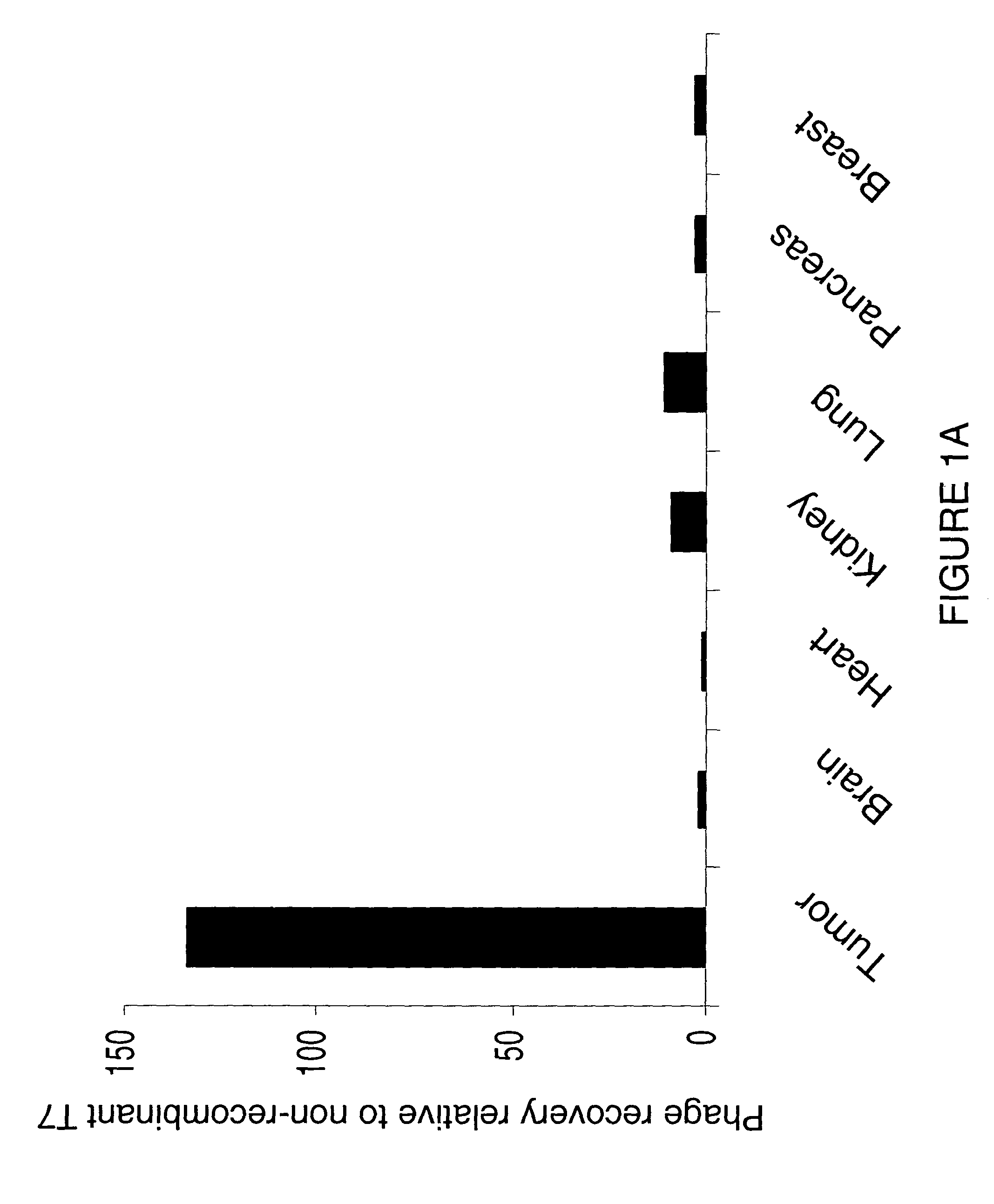 Collagen-binding molecules that selectively home to tumor vasculature and methods of using same