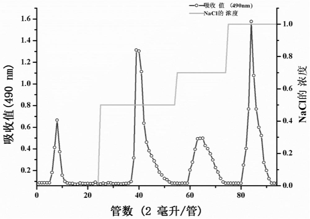 Enterococcus exopolysaccharide with immunomodulatory effect as well as preparation method and application of enterococcus exopolysaccharide