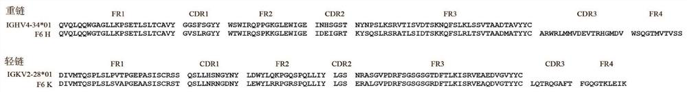 HIV-1 broad-spectrum neutralizing antibody and use thereof