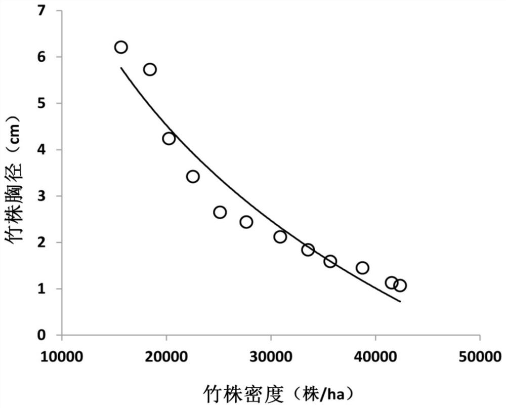 A kind of bamboo forest directional cultivation method aiming at utilization of tea pole bamboo raw bamboo