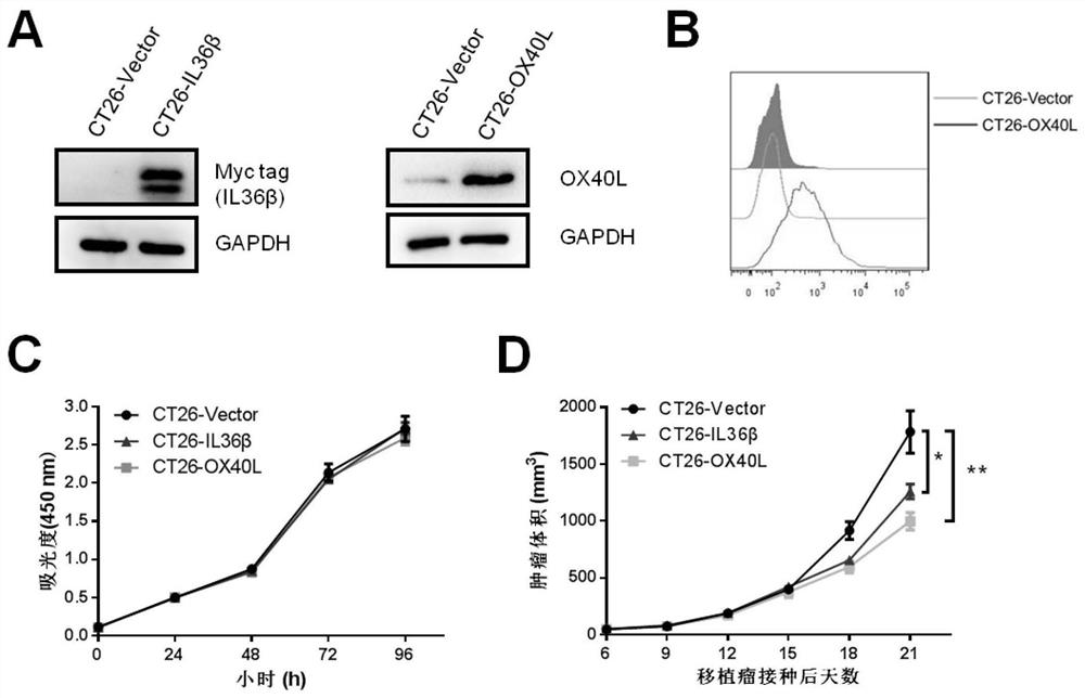 Immunotherapy of targeted transportation of chemotactic factor and cytokine via mesenchymal stem cell