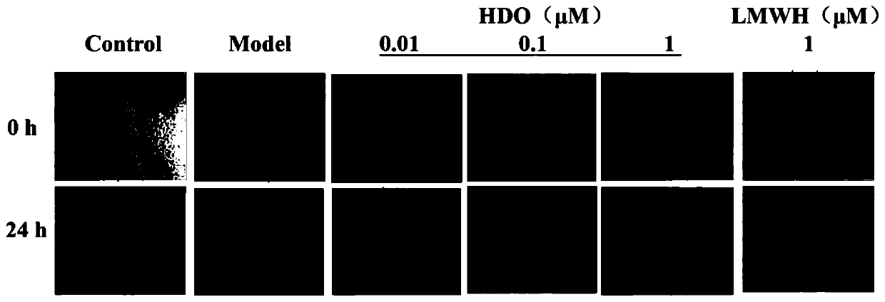 Heparin oligosaccharide and application thereof in preparation of anti-angiogenesis drugs